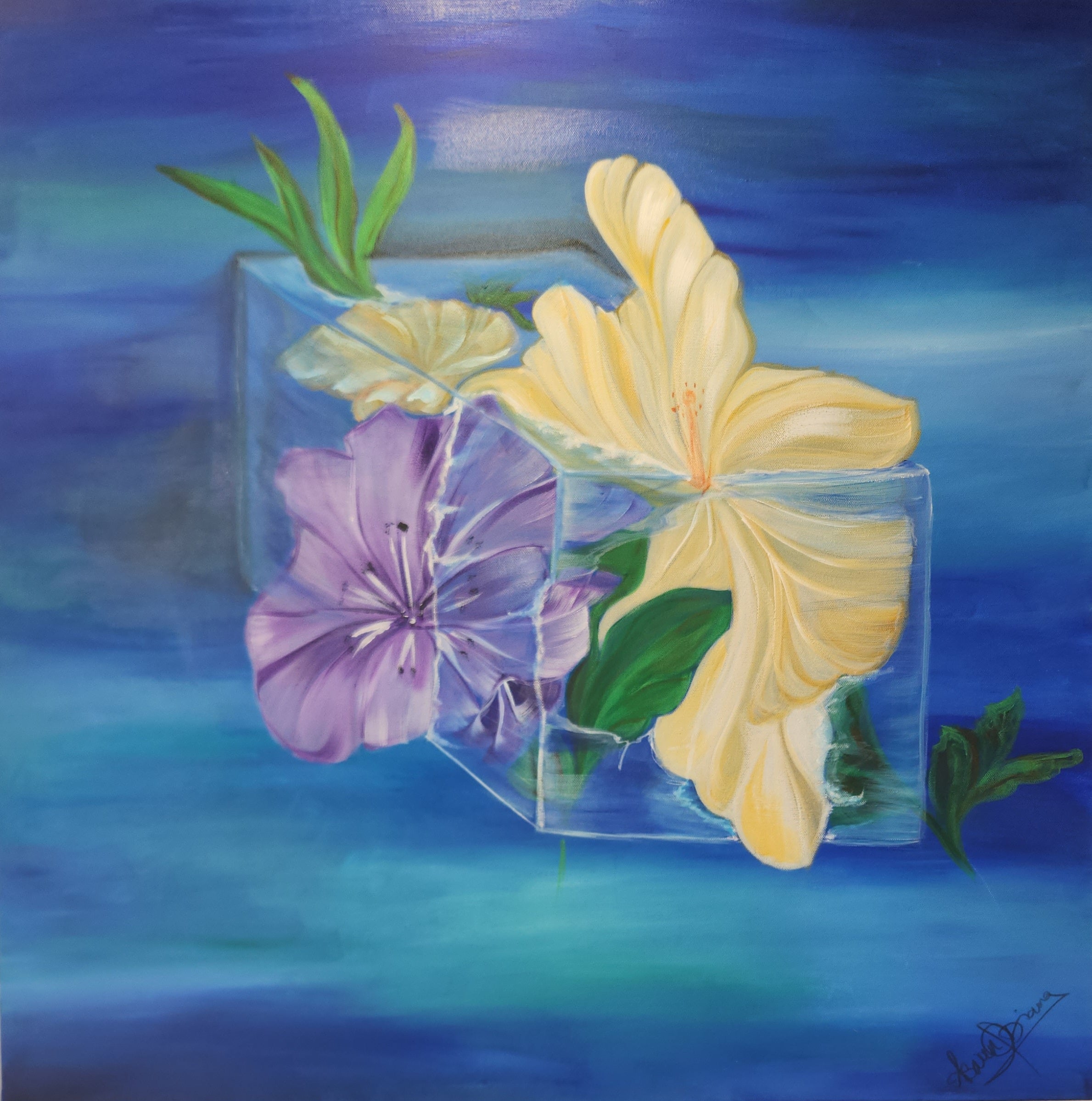 Hibiscus